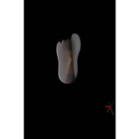 Galalite e vetro
