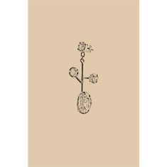 Artigiana Fiorentina Bigiotteria - Orecchino ottone dorato