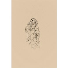 Artigiana Fiorentina Bigiotteria-plastica