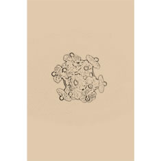 Artigiana Fiorentina Bigiotteria - Orecchino plastica