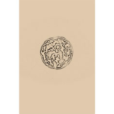 Artigiana Fiorentina Bigiotteria - Orecchino plastica