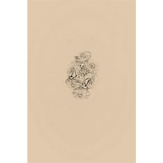 Artigiana Fiorentina Bigiotteria - Orecchino plastica