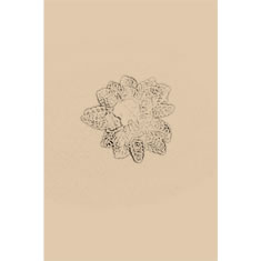 Artigiana Fiorentina Bigiotteria - Orecchino plastica
