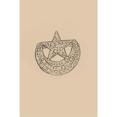 Artigiana Fiorentina Bigiotteria - Spilla strass