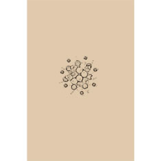 Artigiana Fiorentina Bigiotteria - Orecchino plastica