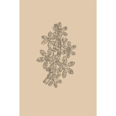 Artigiana Fiorentina Bigiotteria-spilla ottone stampato