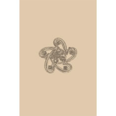 Artigiana Fiorentina Bigiotteria-Spilla Ottone stampato