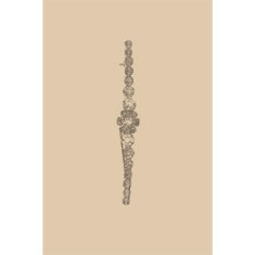 Artigiana Fiorentina Bigiotteria-Spilla Ottone stampato