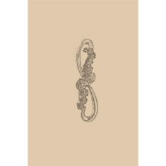 Artigiana Fiorentina Bigiotteria-Spilla Ottone stampato