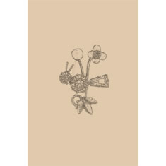 Artigiana Fiorentina Bigiotteria-Spilla Ottone stampato