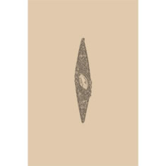 Artigiana Fiorentina Bigiotteria-Spilla-Ottone stampato e nichelato