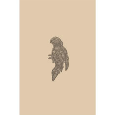 Artigiana Fiorentina Bigiotteria-Spilla Ottone stampato e nichelato