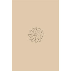 Artigiana Fiorentina Bigiotteria-Orecchini Plastica