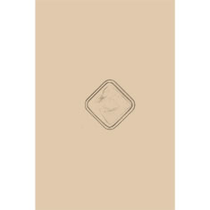 Artigiana Fiorentina Bigiotteria-Orecchini Plastica.