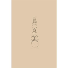 Artigiana Fiorentina Bigiotteria-Orecchini Ottone stampato