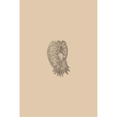 Artigiana Fiorentina Bigiotteria-Spilla Ottone stampato e nichelato