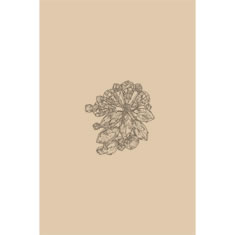 Artigiana Fiorentina Bigiotteria-Spilla Ottone stampato