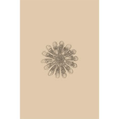 Artigiana Fiorentina Bigiotteria- Orecchino Ottone stampato e nichelato