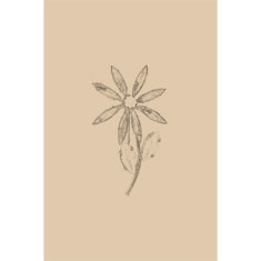 Artigiana Fiorentina Bigiotteria-Spilla Ottone stampato