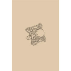 Artigiana Fiorentina Bigiotteria - Orecchino anello ottone e perla