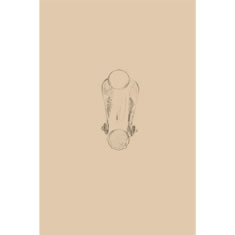 Artigiana Fiorentina Bigiotteria- Orecchini Metallo