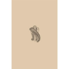 Artigiana Fiorentina Bigiotteria- Orecchini Metallo