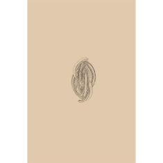 Artigiana Fiorentina Bigiotteria- Orecchini Metallo