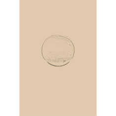 Artigiana Fiorentina Bigiotteria- Orecchini Metallo