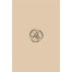 Artigiana Fiorentina Bigiotteria- Orecchini Metallo