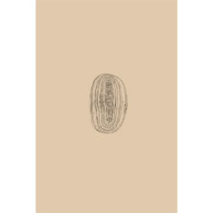 Artigiana Fiorentina Bigiotteria- Orecchini Metallo