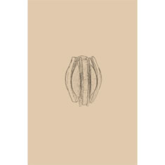 Artigiana Fiorentina Bigiotteria- Orecchini Metallo