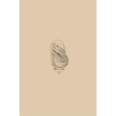 Artigiana Fiorentina Bigiotteria- Orecchini Metallo