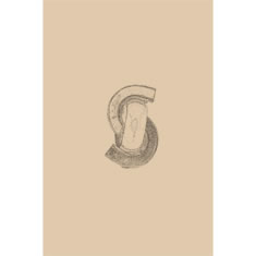 Artigiana Fiorentina Bigiotteria- Orecchini Metallo