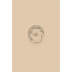 Artigiana Fiorentina Bigiotteria- Orecchini Metallo