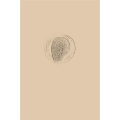 Artigiana Fiorentina Bigiotteria- Orecchini Metallo