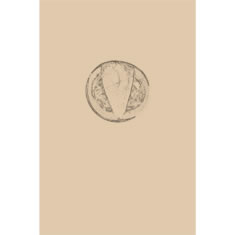 Artigiana Fiorentina Bigiotteria- Orecchini Metallo