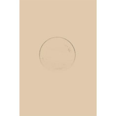Artigiana Fiorentina Bigiotteria- Orecchini Metallo