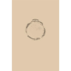Artigiana Fiorentina Bigiotteria- Orecchini Metallo