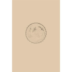Artigiana Fiorentina Bigiotteria- Orecchini Metallo