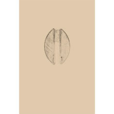 Artigiana Fiorentina Bigiotteria- Orecchini Metallo