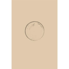 Artigiana Fiorentina Bigiotteria- Orecchini Metallo