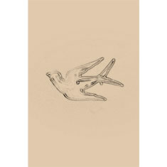 Artigiana Fiorentina Bigiotteria - Spilla ottone