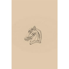 Artigiana Fiorentina Bigiotteria - Spilla ottone