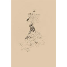 Artigiana Fiorentina Bigiotteria - Orecchino ottone dorato