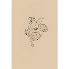 Artigiana Fiorentina Bigiotteria - Spilla ottone