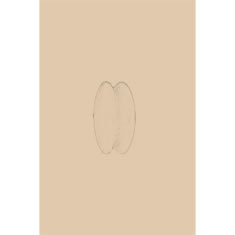 Artigiana Fiorentina Bigiotteria- Orecchini Metallo