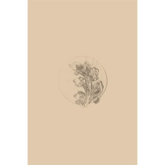 Artigiana Fiorentina Bigiotteria- Orecchini Metallo