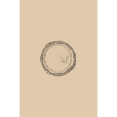 Artigiana Fiorentina Bigiotteria- Orecchini Metallo