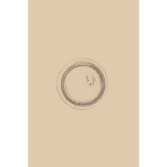 Artigiana Fiorentina Bigiotteria- Orecchini Metallo