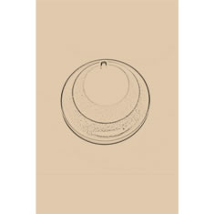 Artigiana Fiorentina Bigiotteria - Pendente plastica